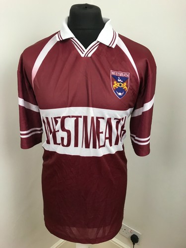 Westmeath gaa team dublin - team,
