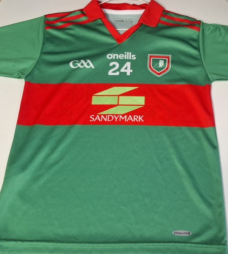 Saint finian gaa - saint,